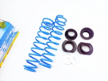 Zusatz-Federn Ford C-Max I, Typ DM2 ab Baujahr 10.03..