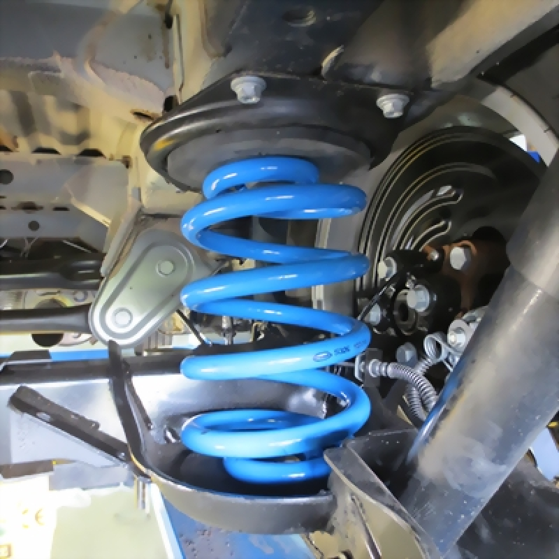 Verstärkte Federn Nissan Primastar, Typ X83 ab Baujahr 03.01..08.14 (Heavy Duty Satz/Mindestladung 650 kg)