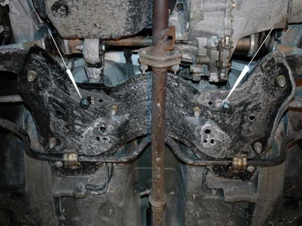 Unterfahrschutz Peugeot 206 (gebaut im Iran), Typ 2*, Motor 1.4/1.6 ab Baujahr 2006 -